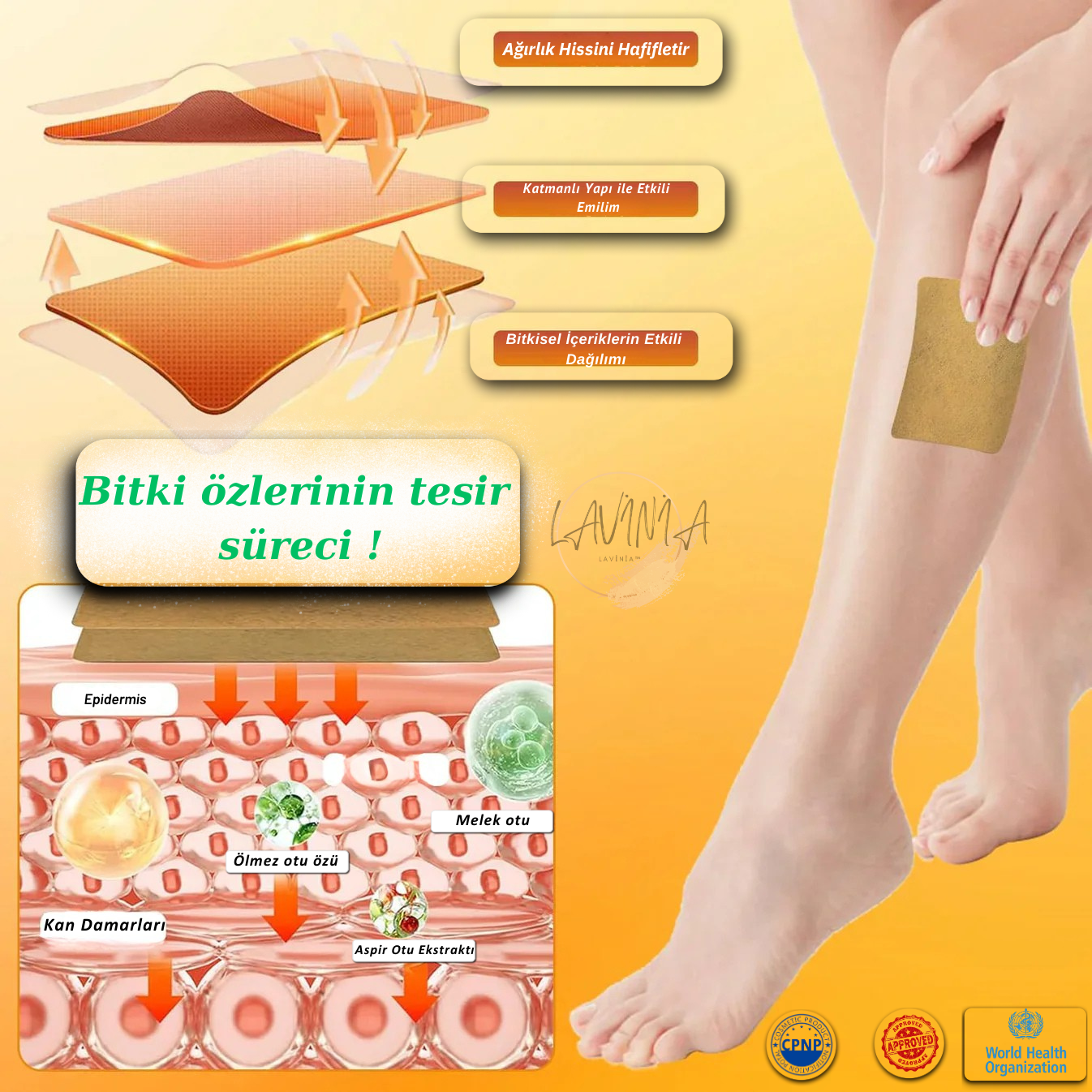 Lavinialuxe® Varis Tedavi Bandı | Şişlik, Yorgunluk ve Damar Sağlığı için Doğal Bitkisel Terapi